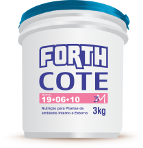 FORTH Cote 19 06 10 (5M)